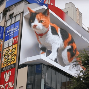 3D cat billboard watches over Shinjuku in Tokyo