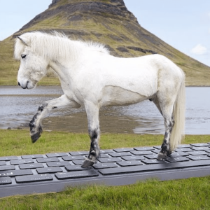Inspired by Iceland has launched the "OutHorse Your Email" campaign